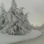 Ajax Boutique Resort Sofia