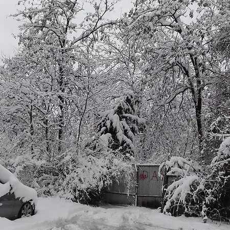 Ajax Boutique 3* صوفيا