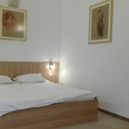 Ajax Boutique 3* Sofya