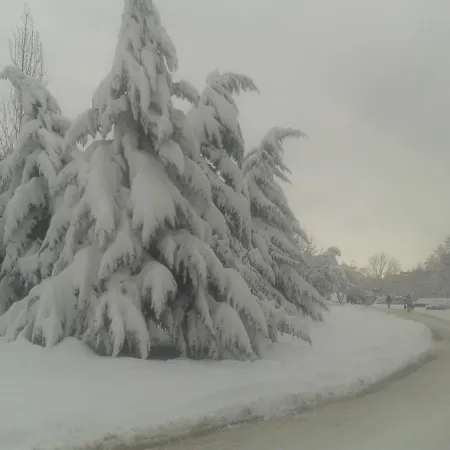 Ajax Boutique Курортный комплекс София