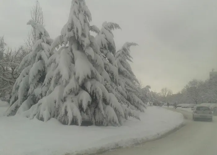 Ajax Boutique Üdülőközpont Szófia