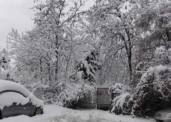 Ajax Boutique 3* Sofie